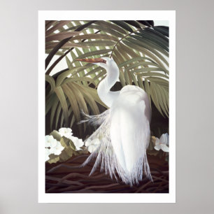 Póster Egret e palmas