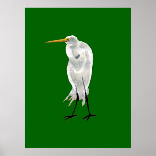 Póster Egret ereto