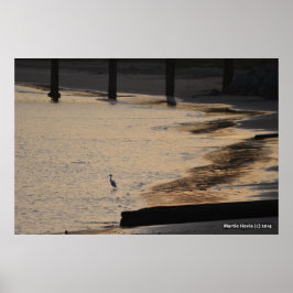 Poster Egret on Shore II