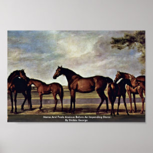 Póster Éguas e potros ansiosos antes de uma tempestade