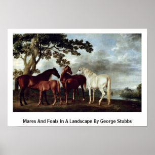 Póster Éguas e potros em uma paisagem por George Stubbs