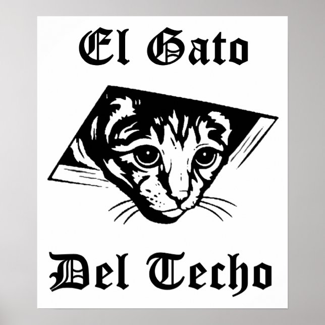 Poster El Gato Del Techo (Frente)