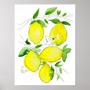 Poster EL Limon