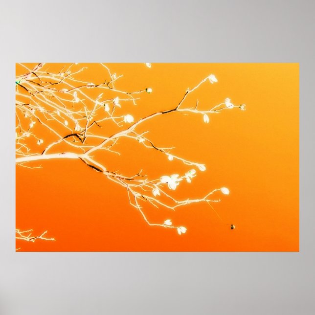 Poster El Paso (Frente)