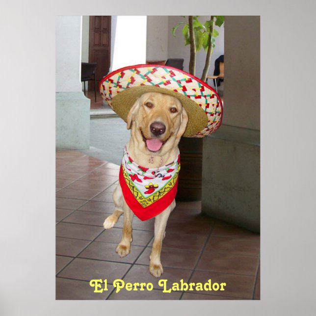 Póster El Perro (Frente)