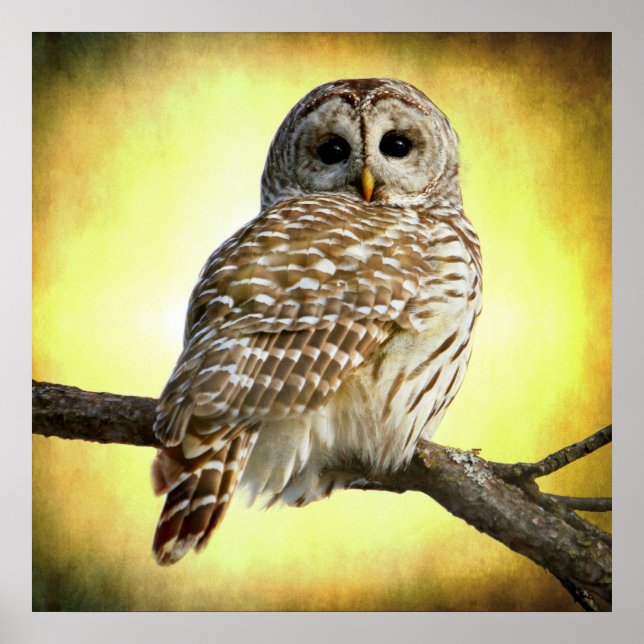 Poster Ela vê bem no meu coração (Frente)