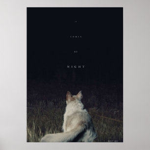 Poster Ele aparece no gráfico de filmes noturnos