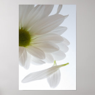 Poster Ele Me Ama... Ele Me Ama Não