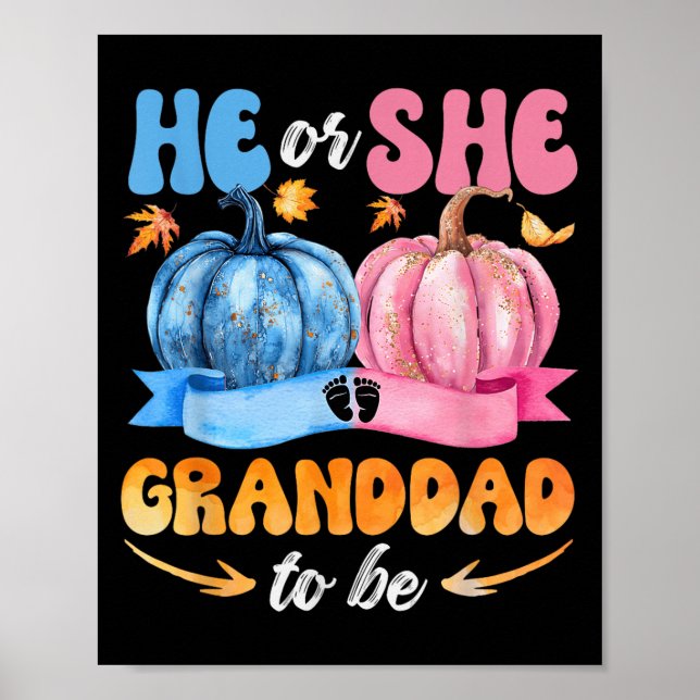 Poster Ele Ou Ela, Avô, Para Ser Bebê, Revelem O Hallowee (Frente)