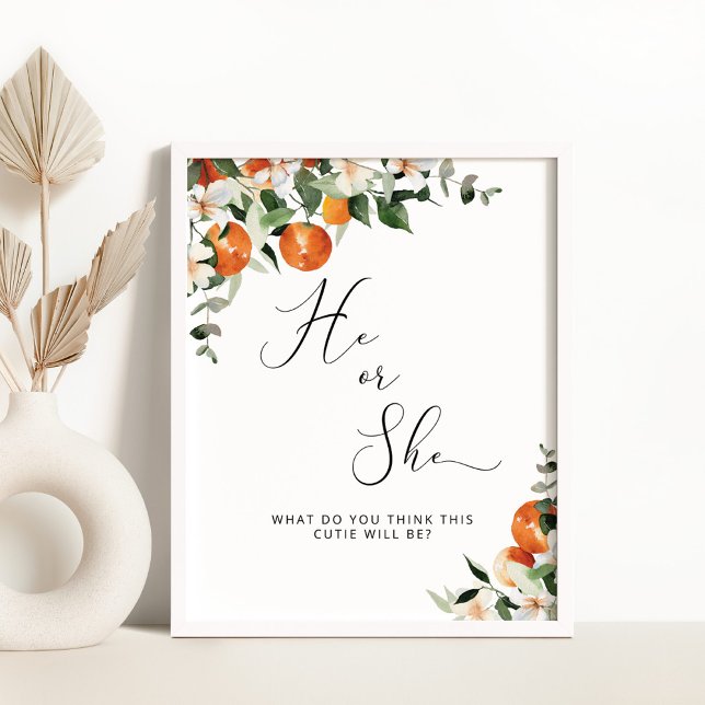 Poster Ele ou Ela, o gênero bonito, revelam (Criador carregado)