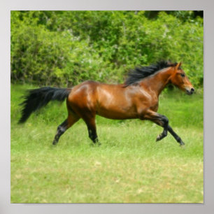 Póster Electrichorse