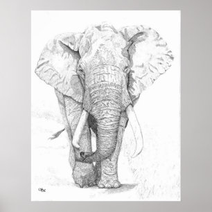 Póster Elefante