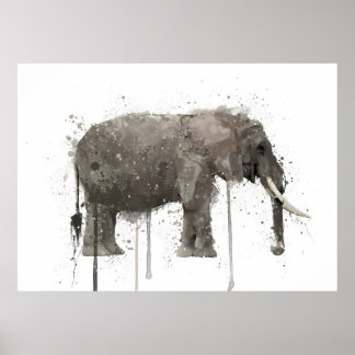 Poster Elefante