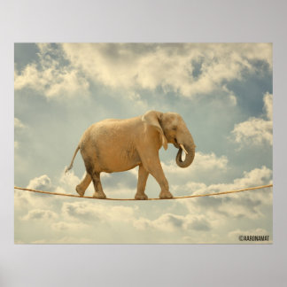 Póster Elefante