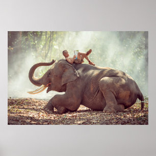 Poster Elefante