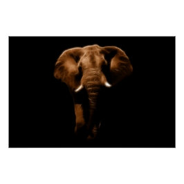 Póster Elefante