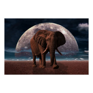 Póster Elefante
