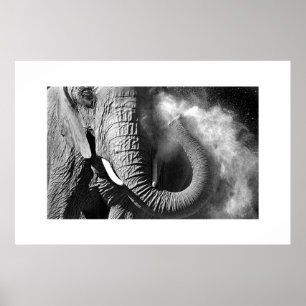Póster Elefante #1