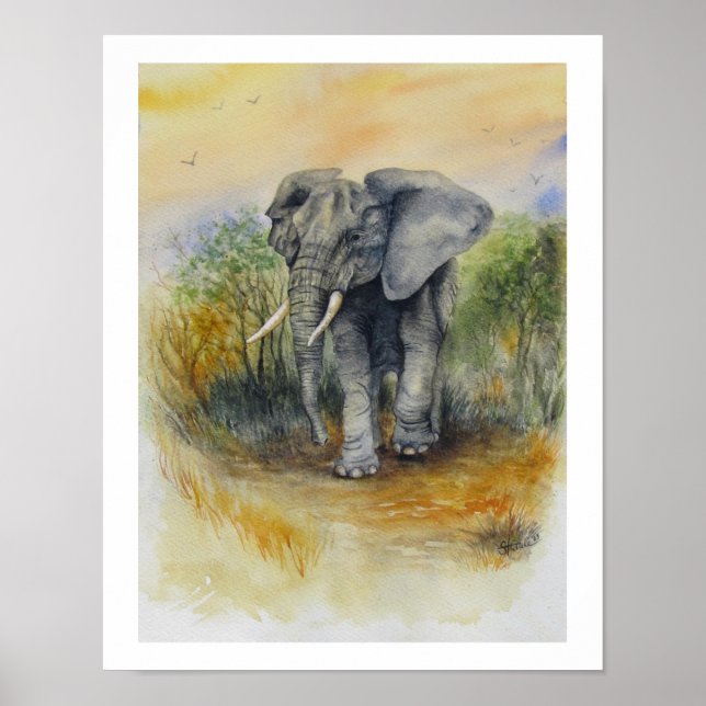 Poster Elefante Africano (Frente)