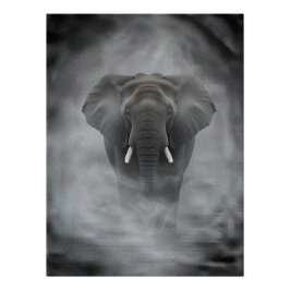 Póster Elefante Africano em Névoa Serena Impasto