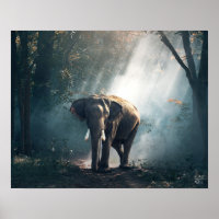 Elefante Asiático em Limpeza de Floresta Solta