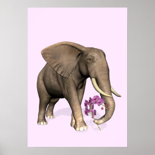 Póster Elefante com orquídea cor-de-rosa
