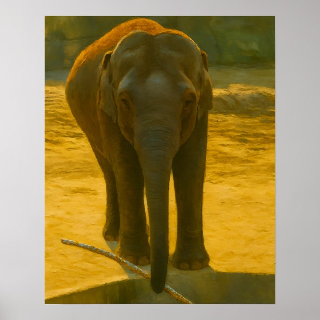 Poster Elefante com ramificação na borda d'água (Frente)