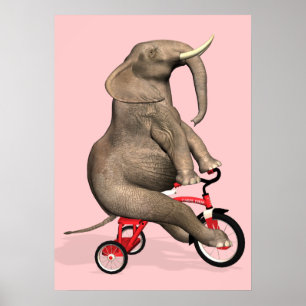 Póster Elefante Cujo Ciclo Ande É Um Triciclo