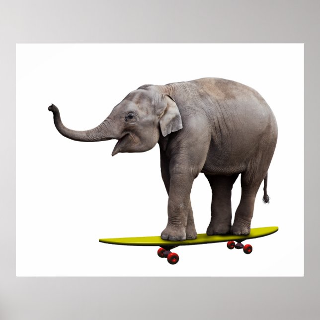 Poster Elefante de skate (Frente)