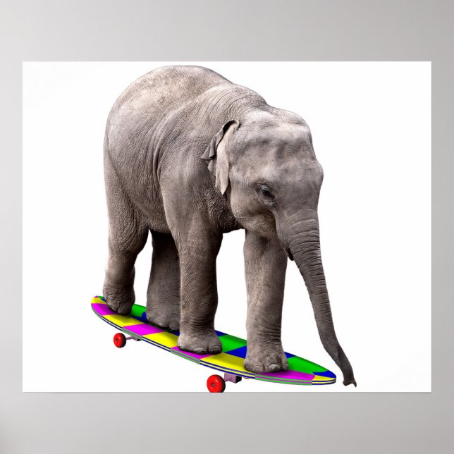 Poster Elefante de skate (Frente)