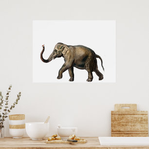 Poster Elefante de vida selvagem