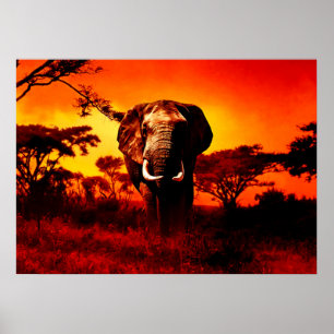 Poster Elefante do por do sol