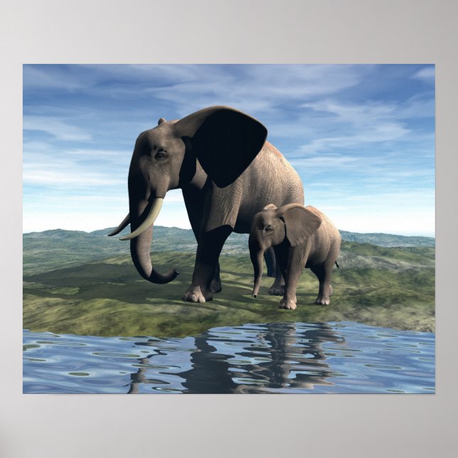 Póster Elefante e bebê (Frente)