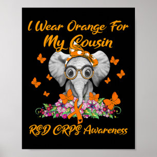 Poster Elefante Eu Visto Laranja Para Meu Primo Rsd Crps