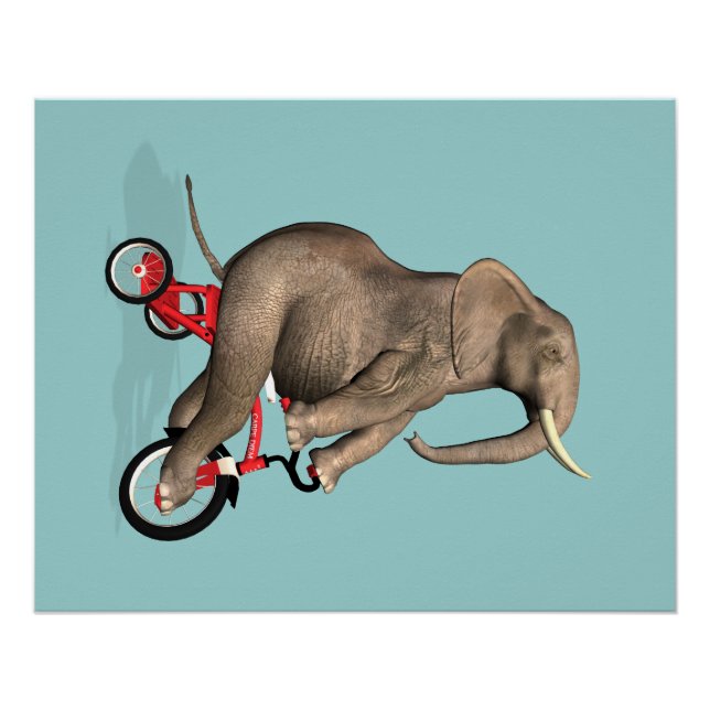 Póster Elefante Feliz No Triciclo (Frente)