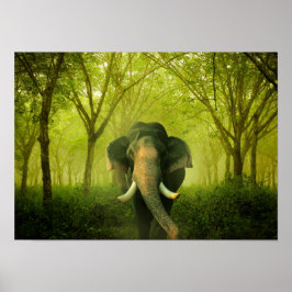 Poster Elefante Indiano Incrível Floresta Verde de Mamífe