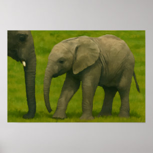 Poster Elefante Jovem na Reserva de Grassy