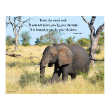 Elefante Kenya Proverb