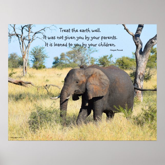 Poster Elefante Kenya Proverb (Frente)