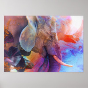 POSTER ELEFANTE LEMBRA DE ÁGUAS SAGRADAS