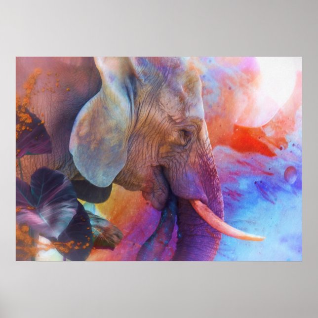 POSTER ELEFANTE LEMBRA DE ÁGUAS SAGRADAS (Frente)