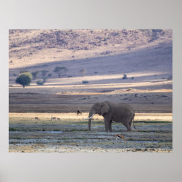 Poster Elefante na Cratera de Ngorongoro — Wildlife Safar