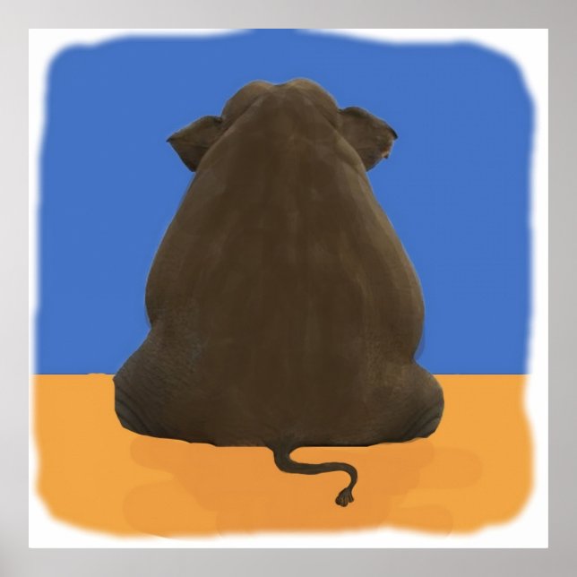 Poster Elefante NCIS na sala Crianças (Frente)