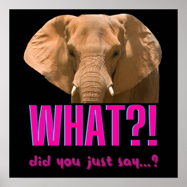 Poster Elefante O Que Você Acabou de Dizer? (Frente)