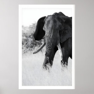 Poster Elefante Preto e Branco - Minimalista
