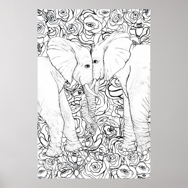 Poster Elefantes (Frente)