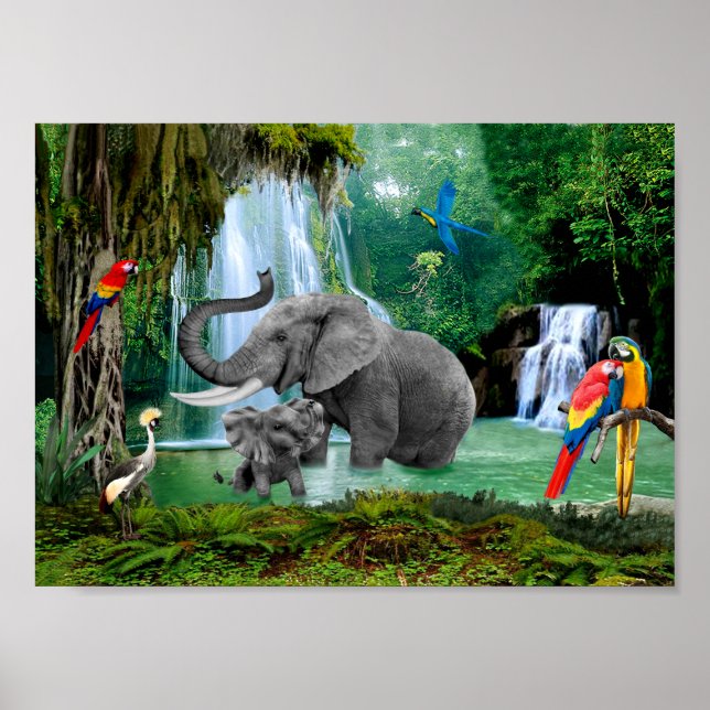 POSTER ELEFANTES DA FLORESTA DE CHUVA (Frente)
