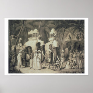 Póster Elefantes de Raja de Travandrum, 'da viagem