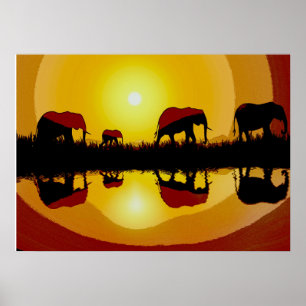Poster Elefantes do Sol Africano