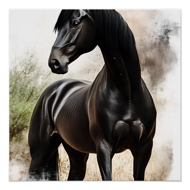 Póster Élégance Ébène (Frente)